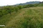 Teren extravilan loc Soimus, Jud Hunedoara - 3