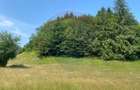 Teren Extravilan 3866 mp in Vama Buzaului la Strada Principala - Vama Buzaului (Brasov)