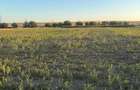 Teren intravilan 4.003 mp Frecatei, Tulcea - drum pe 3 laturi, curent, proprietar - 7
