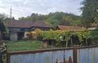 Casa tradi?ionala cu teren generos Borosteni, Pe?ti?ani, jud. Gorj - 1