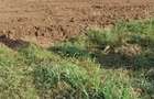 Teren intravilan 500 mp deschidere 23 m Puz Apobat P+2 - 14