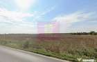 Teren extravilan de vanzare DN1 Paulesti (zona Movila Vul... - Paulesti (Prahova) - 2