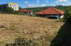 Teren intravilan, 700mp, Valea Lupului - 8