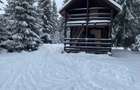 Oportunitate Rara Cabana izolata in padure, teren 1000mp, la 10 minute de partie, Marisel - 8