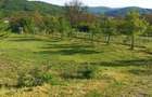 Teren extravilan de vanzare - 3