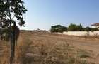 Techirghiol intravilan 534mp - constructie/investitie - 5
