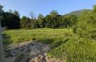 Loturi teren PUZ aprobat 2100/2500mp - Strada Cheia - vis a vis Camping Cheile Rasnoavei