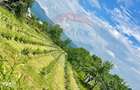 Teren intravilan 6.900mp BREB MARAMURES - 5