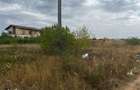 Imagineaza-?i casa ta langa padure, la Snagov - 3