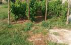 Casă cu Teren 1465 Mp în Dulceanca - 2
