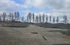 Exclusivitate,Agigea-Penny Market, teren 49284mp, intravilan,124m desc - 9