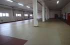 Hala productie    - Calea Torontalului de vanzare - 4