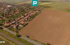 Teren extravilan de 28500 mp langa Sofronea - 3