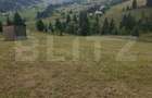 Teren ?aru Dornei, 3 ha extravilan