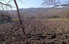 Teren intravilan de vanzare Cadru natural deosebit | Bor?a, Cluj - 4