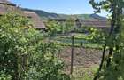 Casă cu 3 camere în Viișoara - 5
