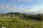 Salicea Hills ! Teren intravilan construibil,1000 mp, zona parc Moara