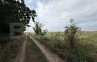 Parcela 702 mp, dubla deschidere, Carcea - Metro - 1