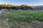 Teren extravilan-arabil 5800m2 - 1