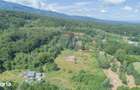 Casa de vacan?a la poalele Mun?ilor Fagara? | Teren 8.000 mp | - 16