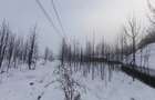Teren intravilan , 5000mp, zona Negostina, Siret - 5