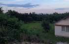 Casa 120 m patra?i ?i teren vanzare 29 de arii - 1