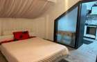 Ofer spre inchiriere apartament cu 2 camere decomandat - 2