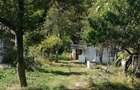 Vand teren intravilan si casa in orasul Baia de Arama - 5