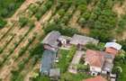 Teren 31.508 mp + Casa! 295.000 E Com. Golesti, Sat Opatesti, Valcea. - 13