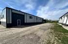 Hale Tg. Neamt, bd. St. cel Mare, depozitare, de la 250mp la 2000mp - 19