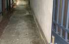 Vand casa, str. Rosiorilor, Braila, 214mp teren - 7