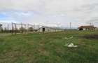 Spațiu industrial, de 1,000 mp, în Foltești - 4