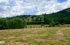 Casa Cu Teren Intravilan 6997 Mp Bughea De Sus Arges - 11