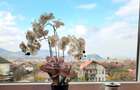 Spatiu comercial, cladire P+2, investitie la cheie in Deva, Hunedoara - 17