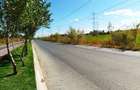 Terenuri intravilane 4550 MP, deschidere la stradă 32 m - 3