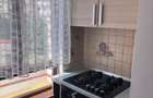 ap 2 camere decomandat et 2 str ludos valea aurie - 5
