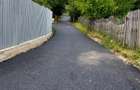 Teren 1600 mp Podu Cheii langa Baraj Paltinu | ideal cabane casa vacan?a - 8