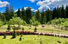 Apartament impecabil 3 cam Silver Mountain - 13