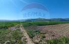 Panorama deasupra lumii Teren de poveste Gura Raului, zona Peste Grui - 8