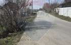 Teren Balotesti Dumbraveni 16.700 mp /8350 mp /loturi 500 mp - 9