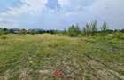 Teren intravilan in Banesti--3727mp--40e - 9
