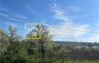 Teren intravilan 2554 mp, com. Prajesti, jud. Bacau - 8