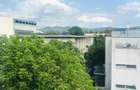 Apartament 2 camere de inchiriat Central - 2