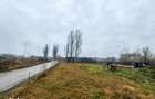 Teren intravilan cu suprafata 454 mp, zona Orizont - Micesti - 4