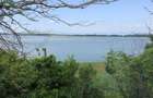 PRET REDUSTeren intravilanFurcenii Noi, jud. Galati. 2200 mp Lat 24m - 6