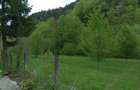 Teren de 3000 mp, în Cazaci - 7