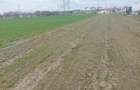 Vand parcele , teren intravilan , stradal, cu toate utilitatile - 4