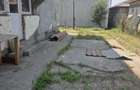 Casă cu 4 camere în Jilava - 1