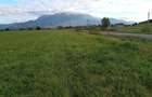 Teren intravilan Zarnesti la asfalt, cu priveliste panoramica - 1