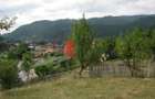 Teren intravilan 3214 mp in Rucar cu deschidere 56 m in DN73 - 6